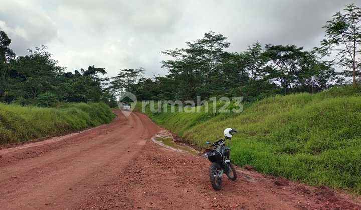 Dijual Tanah Kebun Murah Di Jalan Sungai Siring Kota Samarinda