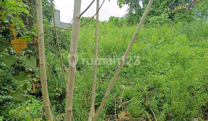 Affordable Land for Sale on Embun Suryana Street, Sambutan, Samarinda
