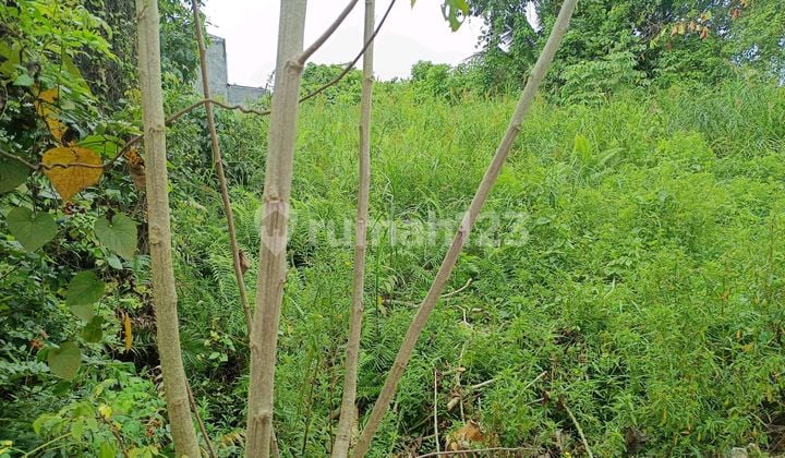 Affordable Land for Sale on Embun Suryana Street, Sambutan, Samarinda