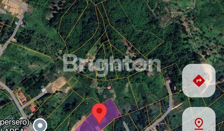 DIJUAL TANAH PINGGIR JALAN DI JALAN IKIP MEKAR SARI TIMBAU KUTAI KARTANEGARA