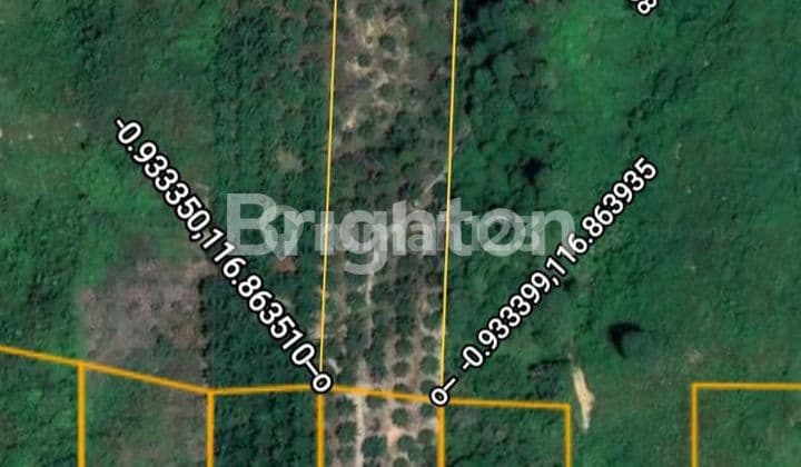 DIJUAL MURAH LAHAN 1 HEKTAR DI ARGO MULYO SEPAKU PENAJAM PASER UTARA IKN