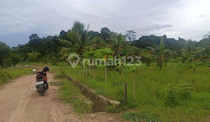 Land for Sale on Simpang Pasir Palaran Street, Samarinda Seberang