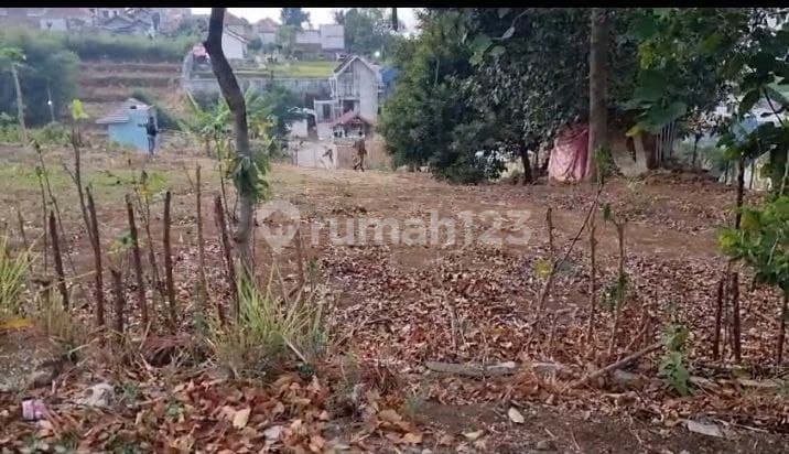 Tanah Matang Dibawah Pasaran Lokasi Strategis di Cipageran Cimahi