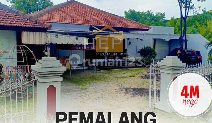 Rumah Besar Pinggir Jalan Raya Petarukan Pemalang Cocok Untuk Usaha / Bisnis