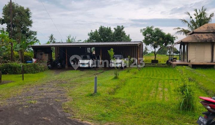 Tanah Kavling Di Pantai Belong Beach Front Di Kawasan Tabanan