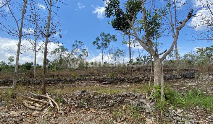 Tanah Di Nusa Penida
