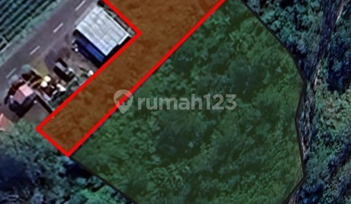 Tanah 3.250 M2 Dataran Tinggi 1300 Mdl Lokasi Strategis dengan View di Kawasan Pinggan Kintamani Bangli