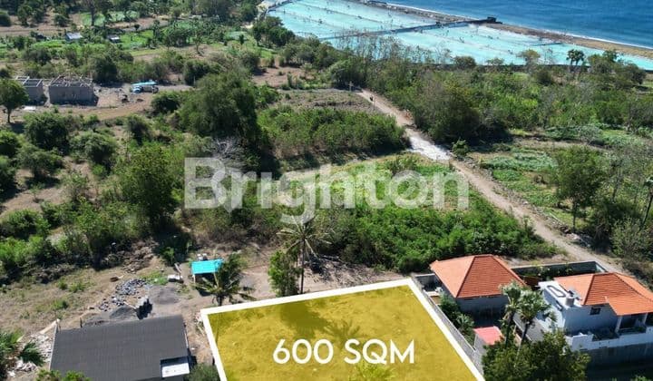 LAND FOR SALE IN AMED