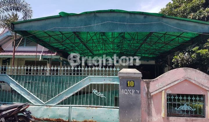 LAHAN LANGKA DI TENGAH KOTA BANYUWANGI