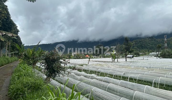LAND IN BEDUGUL
