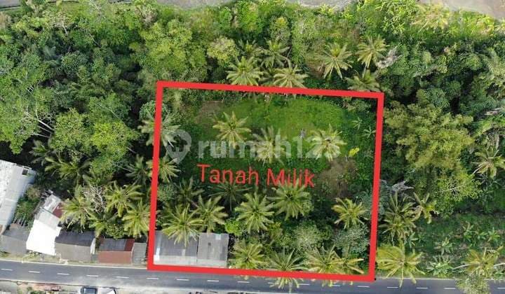 Lahan Di Tegalalang Di Kawasan Hotel