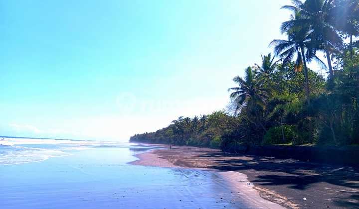 Land For Long Lease Beachfront In Jembrana Bali