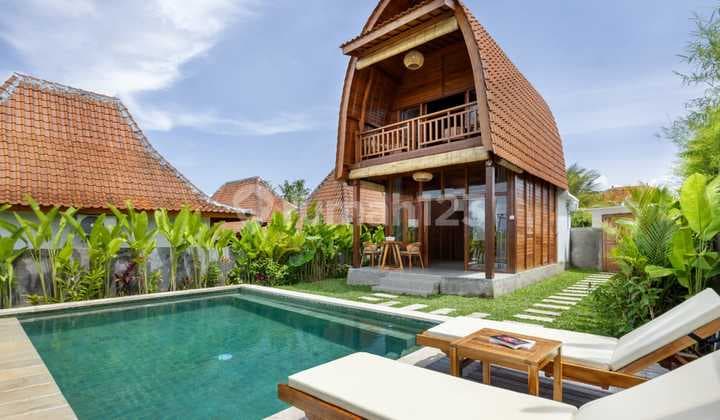 Brand New Villa In Ubud