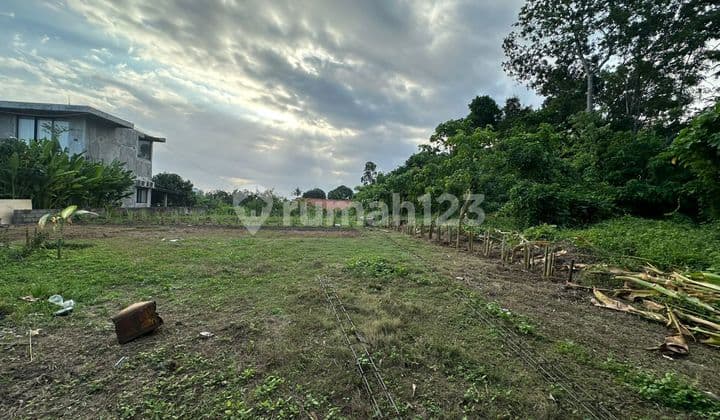 Land 770 M2 in Villa Area at Pandak Gede, Kediri, Tabanan, Bali