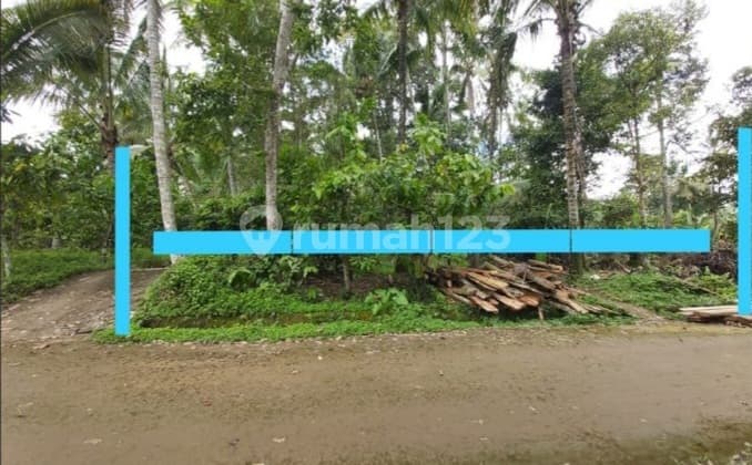 Tanah 1,2 Hektar dengan Mata Air Alami Yg Melimpah di Kawasan Penebel Tabanan Bali