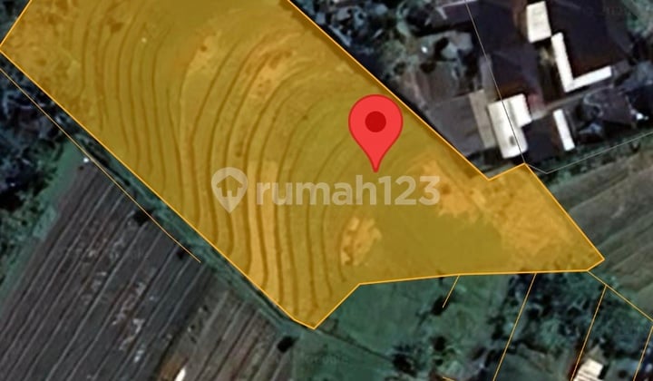 Di Jual Tanah dan Sawah Produktif 3100 M2 Lokasi Strategis di Bongan Tabanan Bali