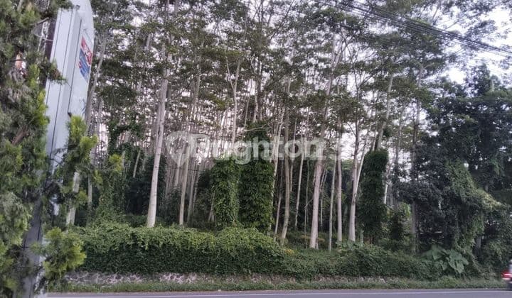 TANAH LETAK STRATEGIS, SANGAT SUBUR UNTUK KEBUN BUAH2AN JUGA COCOK UNTUK RUMAH MAKAN, PENGINAPAN, SEKOLAH