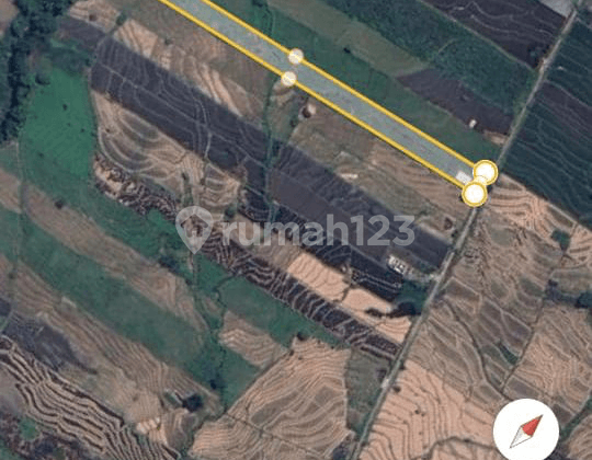 Dijual Tanah SHM di Dsn Centong, Kec Gondang, Mojokerto, Lokasi Pinggir Jalan