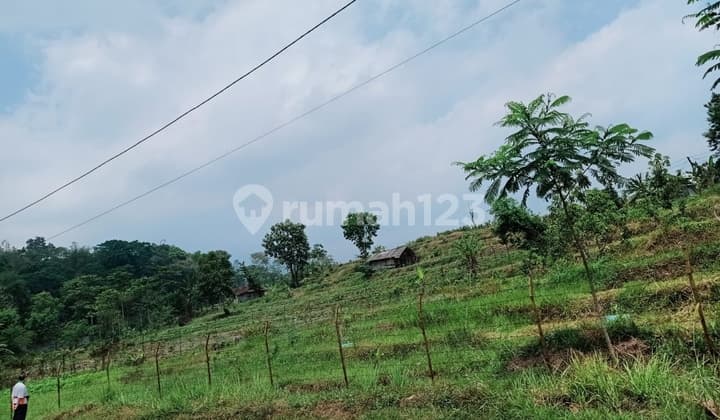 Kavling Tanah Cempoko Limo Pacet Mojokerto Pinggir Jln Besar Cor