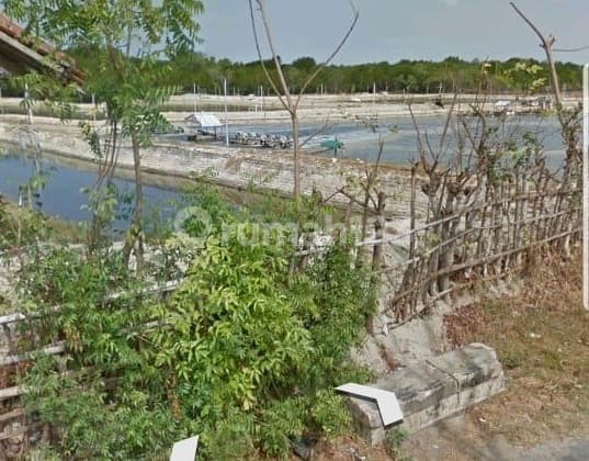 Dijual Tambak Udang Aktif & Produktif di Pamekasan Pinggir Jalan