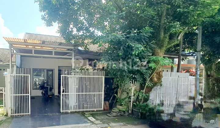 Rumah Minimalis Sederhana Bsd Kencana Loka