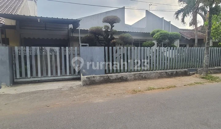 Large Old Well-Maintained House in the Flower Area near Unibraw
