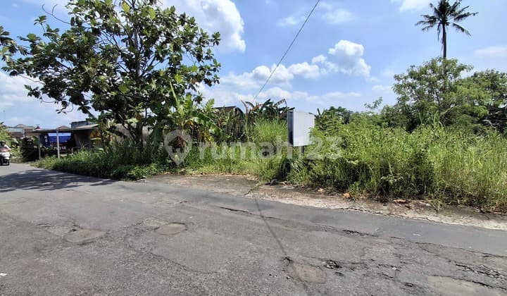 Tanah Jogja Dijual Area Palagan Yogyakarta