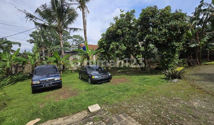 For Sale BUBB Land and Building Below Market Price Pagedangan