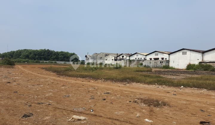 FOR SALE Immediately WAREHOUSE LAND in DADAP