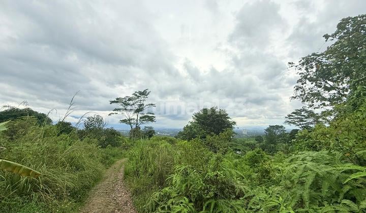 Tanah Best View Ketinggian 400 MDPL Cocok untuk Perumahan atau Villa Resort Lokasi Strategis Dekat Dengan Tagana Training Center Sentul, Bogor