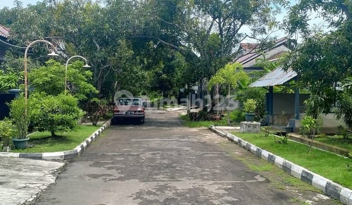 Tanah Klayan Komplek Pertamina Cluster Shm Murah