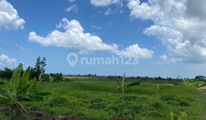 FOR SALE STRATEGIC LAND IN CANGGU BADUNG BALI