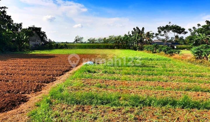 Tanah Babelan Bekasi Strategis