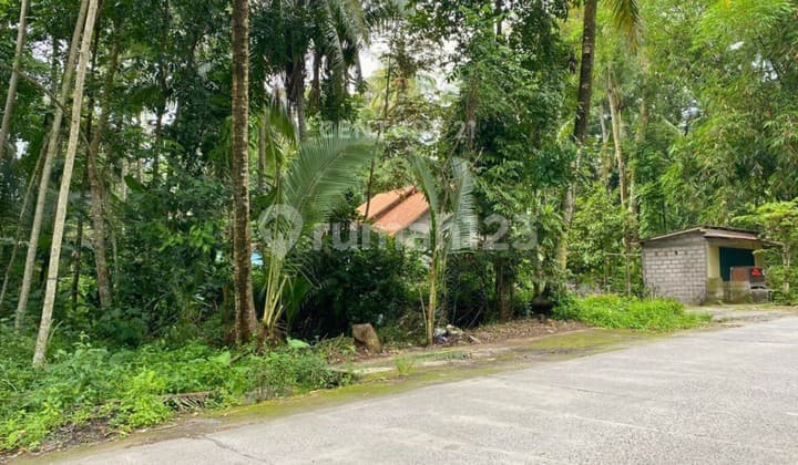 Tanah Asri di Sleman Utara Cocok untuk Usaha Cafe