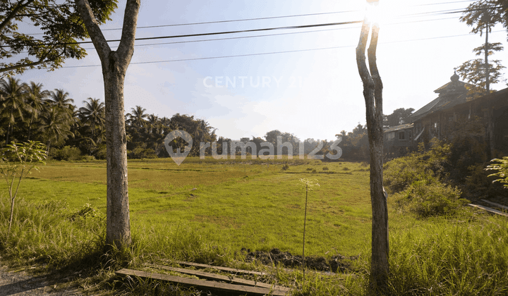 Tanah Luas 9130M2 Dekat Candi Borobudur Ideal untuk Bisnis