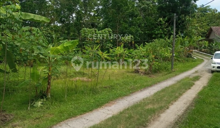 Tanah 1778M2 di Balecatur Dekat Kampus Umy
