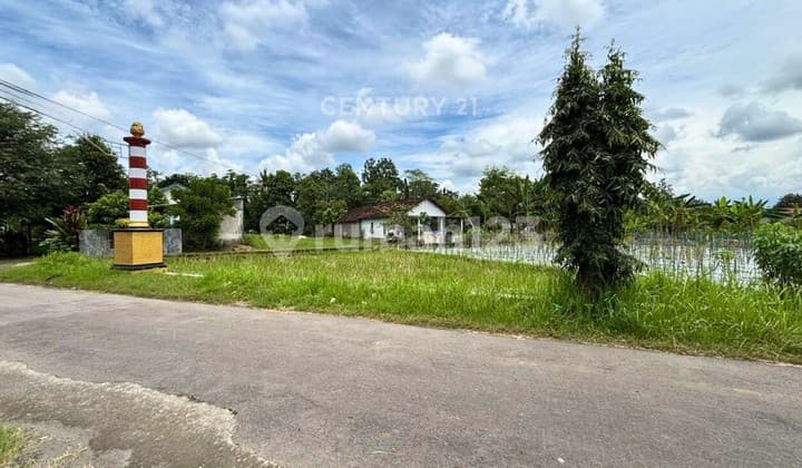 Investasi Menjanjikan! Tanah Sawah Prospektif Di Kalasan, Akses Mudah & Potensi Usaha Tinggi"