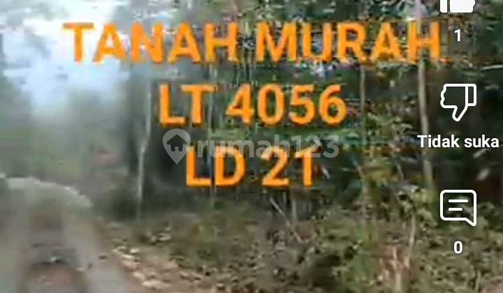 Tanah Murah Di Bangunjiwo Cocok Untuk Investasi,cafe,vila,perumahan Tanah