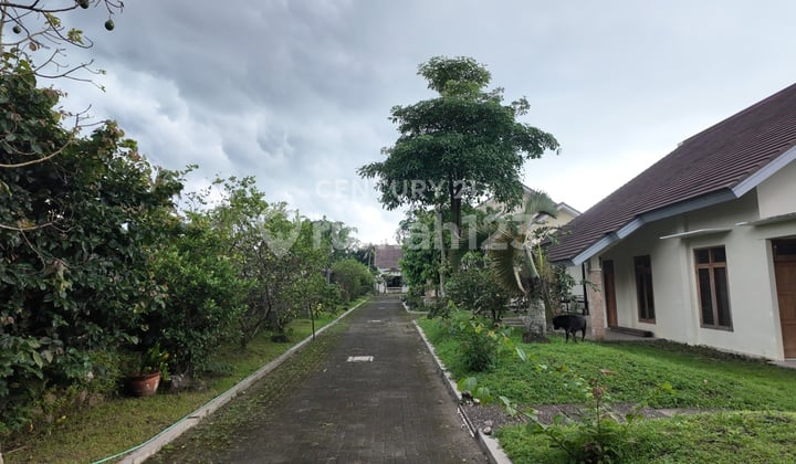 Tanah Murah Bonus Bangunan di Pakem Cocok untuk Usaha Guest House