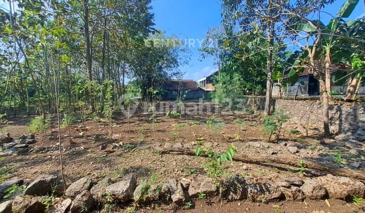 Residential Land 341 M2 In Kepek Suitable For Building A Dwelling
