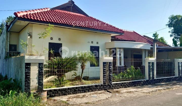 Rumah Nyaman Di Sendangadi, Akses Mudah & Ramai Usaha - Potensi Investasi Homestay / Kos!