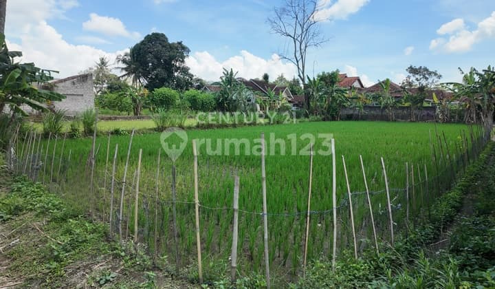 Tanah 646M2 di Wedomartani Dekat Budi Mulia Dua untuk Hunian
