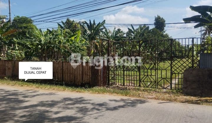 Tanah Komersil Pinggir Jalan Raya Sudah Diuruk Timbun Bati dan Pasir Siap Bangun Sei Rengas Kubu Raya Tanah 8100 SHM M²