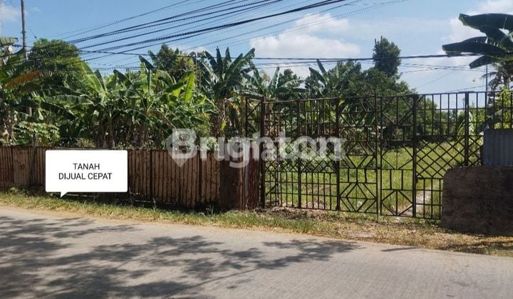 Tanah Komersil Pinggir Jalan Raya Sudah Diuruk Timbun Bati dan Pasir Siap Bangun Sei Rengas Kubu Raya Tanah 8100 SHM M²