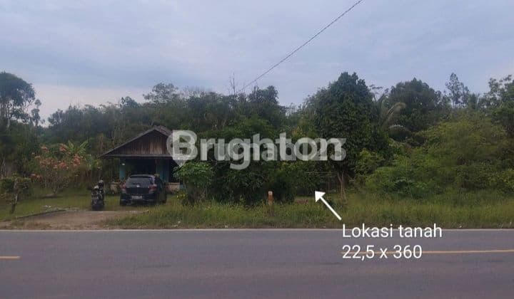 TANAH KOMERSIAL PINGGIR JALAN RAYA TRAN KALIMANTAN SUNGAI AMBAWANG m² SHM 8100 Tanah