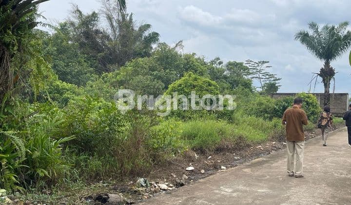 TANAH KOMERSIAL SIAP BANGUN A YANI LOKASI BELAKANG META MOG