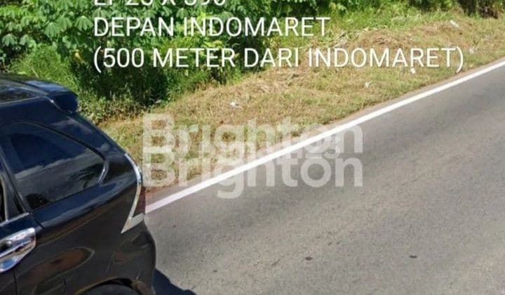 TANAH KOMERSIAL PINGGIR JALAN RAYA TRAN KALIMANTAN SUNGAI AMBAWANG m² SHM 9750 Tanah