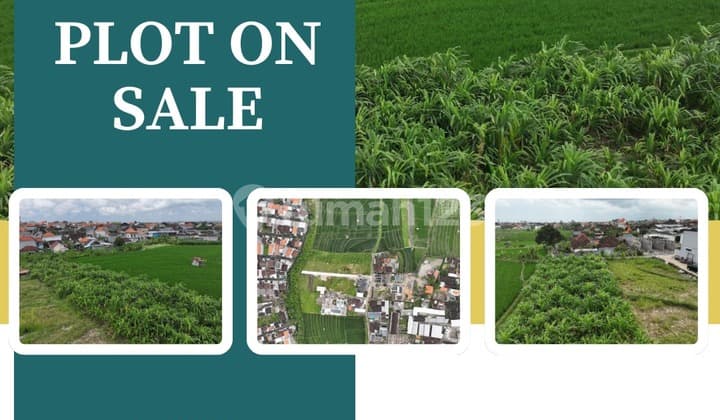 For Rent Land With Beauty View At Padonan, Canggu