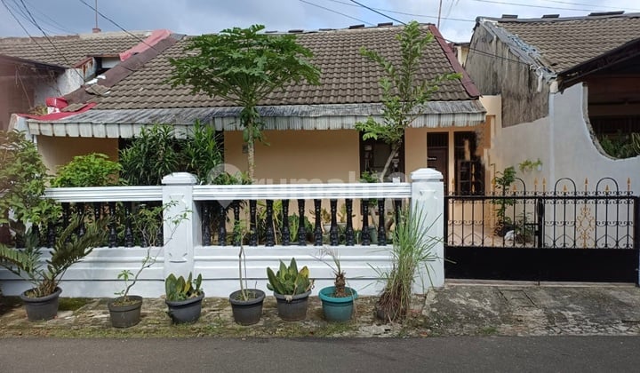 Rumah Asri Dan Nyaman Siap Huni Di Bogor Kota