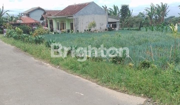 TANAH LUAS DI JUAL DI SUKABUMI